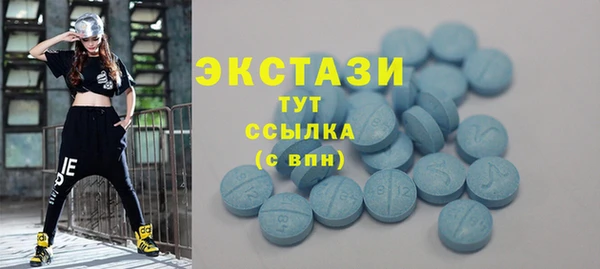 мдпв Богородицк
