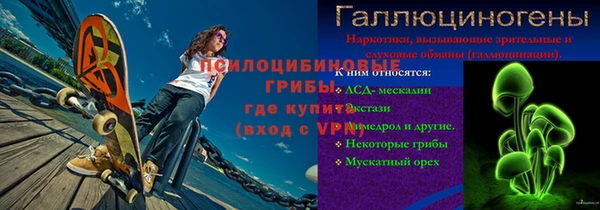 мдпв Богородицк