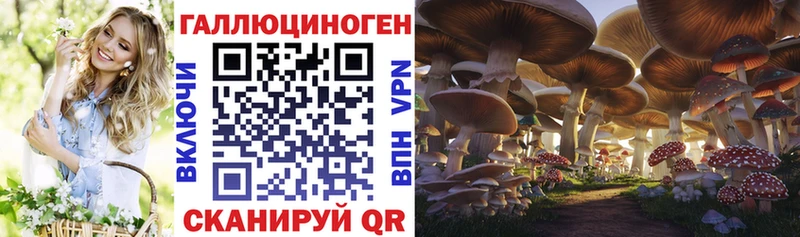 где купить   Оренбург  Галлюциногенные грибы MAGIC MUSHROOMS 